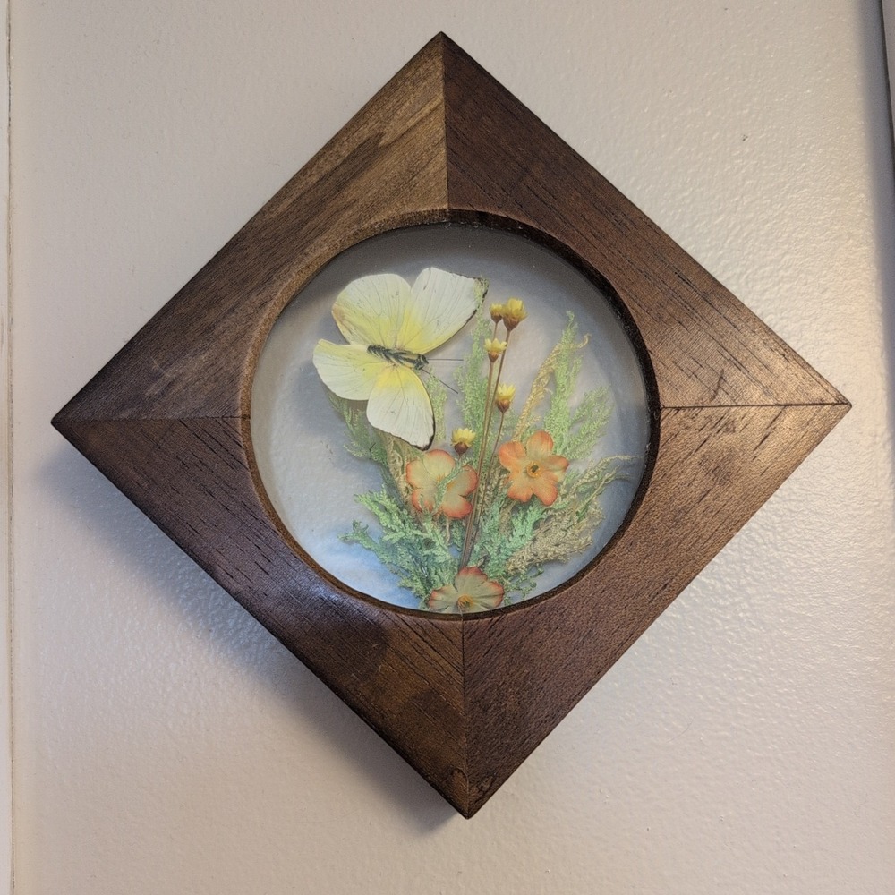 Vintage Faux "Dried" Flower Butterfly Shadow Box Frame Wall Art Cottagecore Read